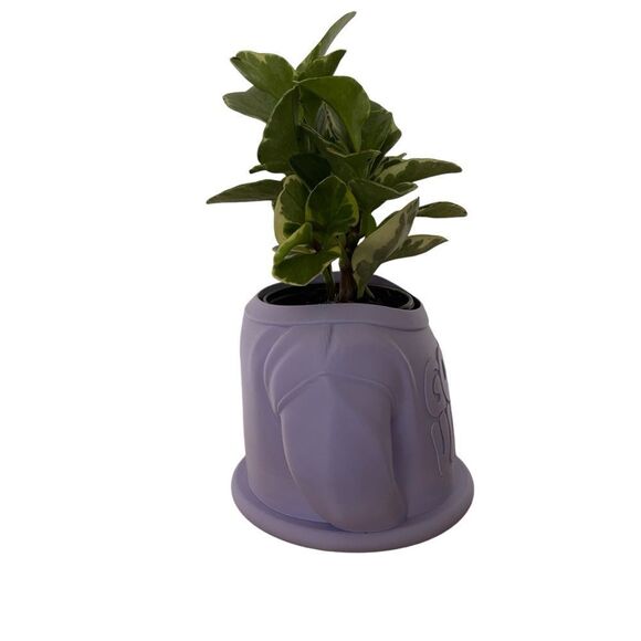 Lavender “Good Vibes” Sweater Planter - Spread Positivity with Sustainable Style - Picture 7 of 8